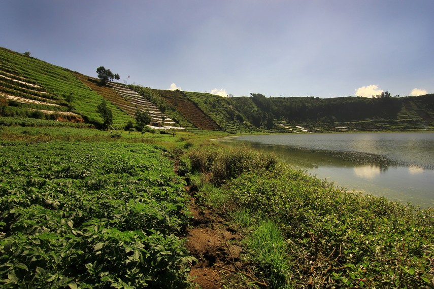 Galeri