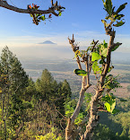 Galeri